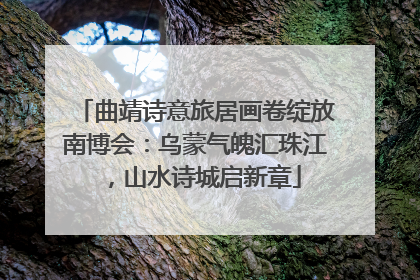 曲靖诗意旅居画卷绽放南博会：乌蒙气魄汇珠江，山水诗城启新章