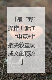 最“野”操作！浙江“电竞村”指尖较量玩成文旅顶流