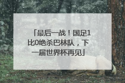 最后一战！国足1比0绝杀巴林队，下一届世界杯再见