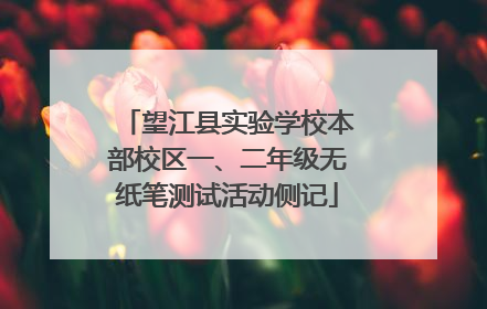 望江县实验学校本部校区一、二年级无纸笔测试活动侧记