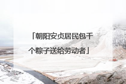 朝阳安贞居民包千个粽子送给劳动者