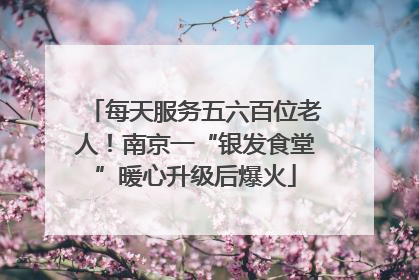 每天服务五六百位老人！南京一“银发食堂”暖心升级后爆火