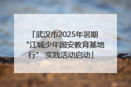 武汉市2025年暑期“江城少年国安教育基地行” 实践活动启动