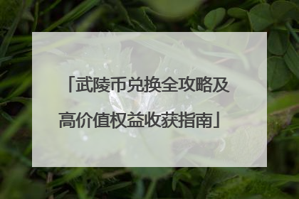武陵币兑换全攻略及高价值权益收获指南