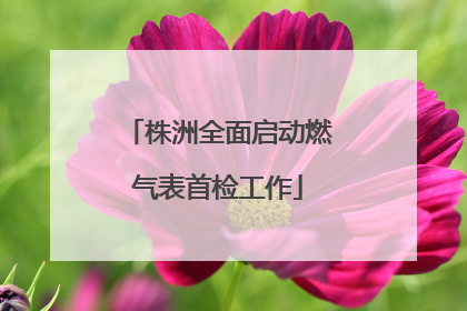 株洲全面启动燃气表首检工作