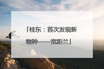 桂东：首次发现新物种——宽距兰