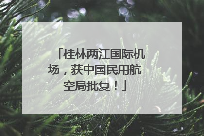 桂林两江国际机场，获中国民用航空局批复！