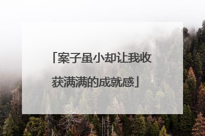 案子虽小却让我收获满满的成就感