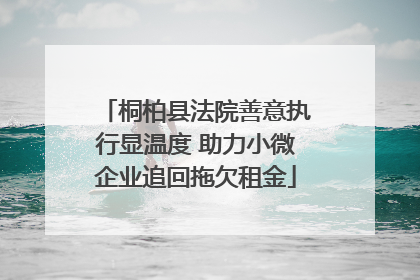 桐柏县法院善意执行显温度 助力小微企业追回拖欠租金
