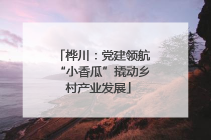 桦川：党建领航“小香瓜”撬动乡村产业发展