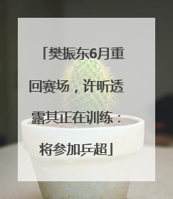 樊振东6月重回赛场，许昕透露其正在训练：将参加乒超