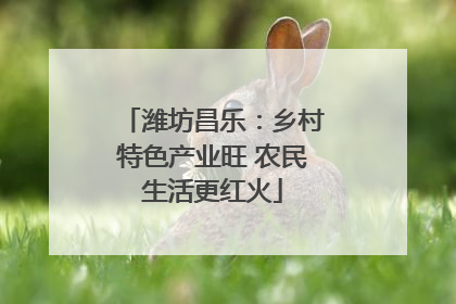 潍坊昌乐：乡村特色产业旺 农民生活更红火