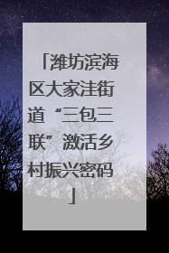 潍坊滨海区大家洼街道“三包三联”激活乡村振兴密码