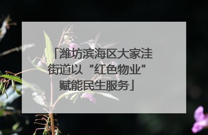 潍坊滨海区大家洼街道以“红色物业”赋能民生服务