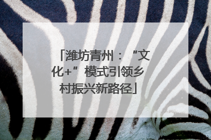 潍坊青州：“文化+”模式引领乡村振兴新路径