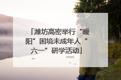 潍坊高密举行“暖阳”困境未成年人“六一”研学活动