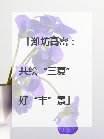潍坊高密：共绘“三夏”好“丰”景