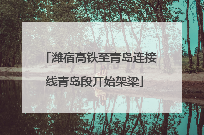 潍宿高铁至青岛连接线青岛段开始架梁