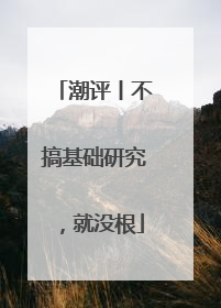 潮评丨不搞基础研究，就没根