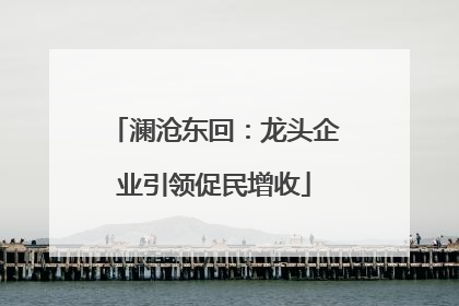 澜沧东回：龙头企业引领促民增收
