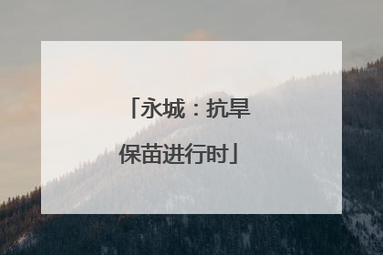 永城：抗旱保苗进行时
