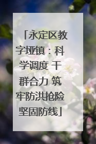 永定区教字垭镇：科学调度 干群合力 筑牢防洪抢险坚固防线