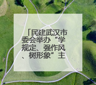 民建武汉市委会举办“学规定、强作风、树形象”主题教育暨参政议政能力素质提升培训班