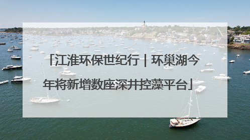 江淮环保世纪行｜环巢湖今年将新增数座深井控藻平台