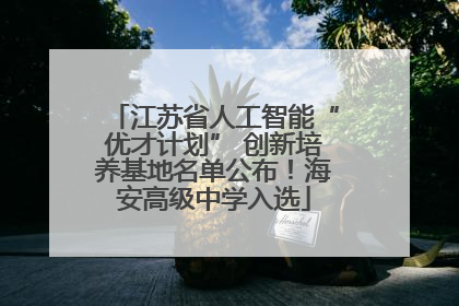江苏省人工智能“优才计划” 创新培养基地名单公布！海安高级中学入选