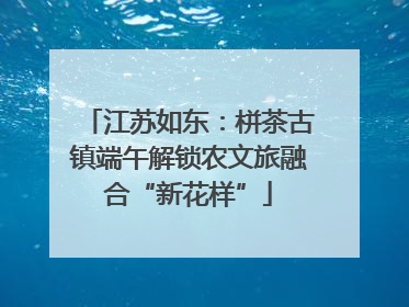 江苏如东：栟茶古镇端午解锁农文旅融合“新花样”
