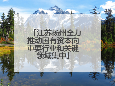 江苏扬州全力推动国有资本向重要行业和关键领域集中