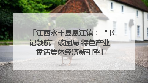 江西永丰县恩江镇：“书记领航”破困局 特色产业盘活集体经济新引擎
