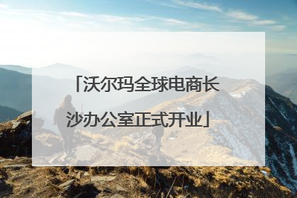 沃尔玛全球电商长沙办公室正式开业
