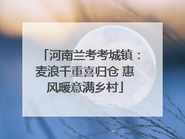 河南兰考考城镇:麦浪千重喜归仓 惠风暖意满乡村