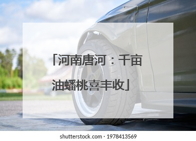 河南唐河：千亩油蟠桃喜丰收