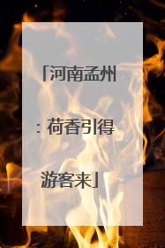 河南孟州：荷香引得游客来