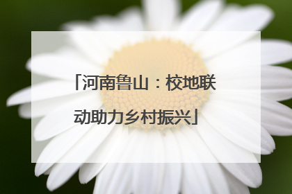 河南鲁山：校地联动助力乡村振兴