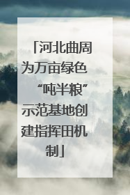 河北曲周为万亩绿色“吨半粮”示范基地创建指挥田机制
