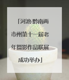 河池·黔南两市州第十一届老年摄影作品联展成功举办