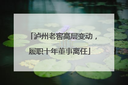 泸州老窖高层变动，履职十年董事离任