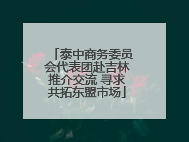 泰中商务委员会代表团赴吉林推介交流 寻求共拓东盟市场
