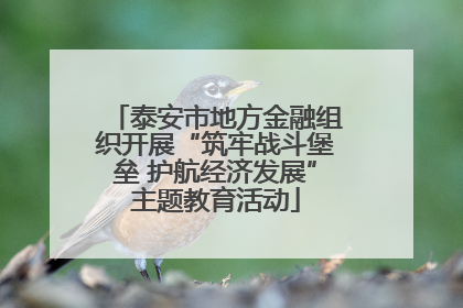 泰安市地方金融组织开展“筑牢战斗堡垒 护航经济发展”主题教育活动