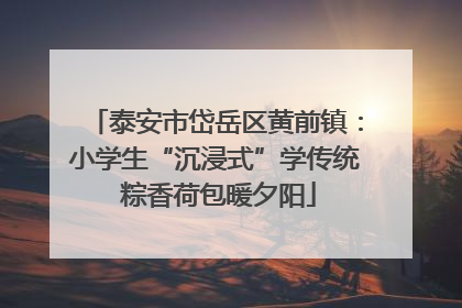 泰安市岱岳区黄前镇：小学生“沉浸式”学传统 粽香荷包暖夕阳