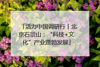 活力中国调研行丨北京石景山：“科技+文化”产业蓬勃发展