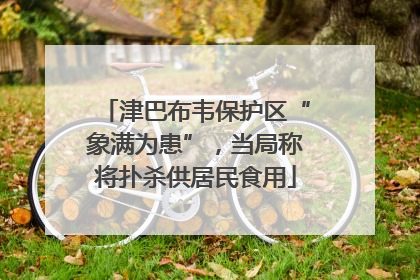 津巴布韦保护区“象满为患”，当局称将扑杀供居民食用