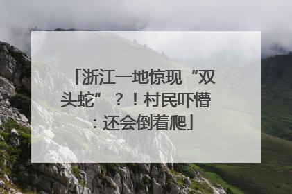 浙江一地惊现“双头蛇”？！村民吓懵：还会倒着爬