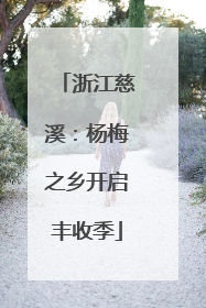 浙江慈溪：杨梅之乡开启丰收季