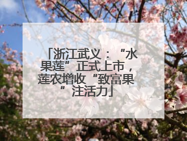 浙江武义：“水果莲”正式上市，莲农增收“致富果”注活力