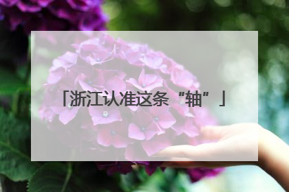 浙江认准这条“轴”