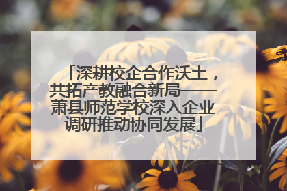 深耕校企合作沃土，共拓产教融合新局——萧县师范学校深入企业调研推动协同发展
